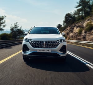 GWM WEY auf der Landstraße